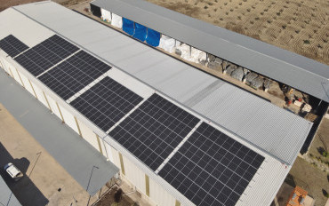 Yağlı Tohumlar Araştırma Enstitüsü