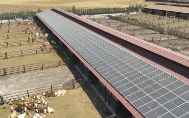 Höbba İnşaat Tarım Gıda Hayvancılık